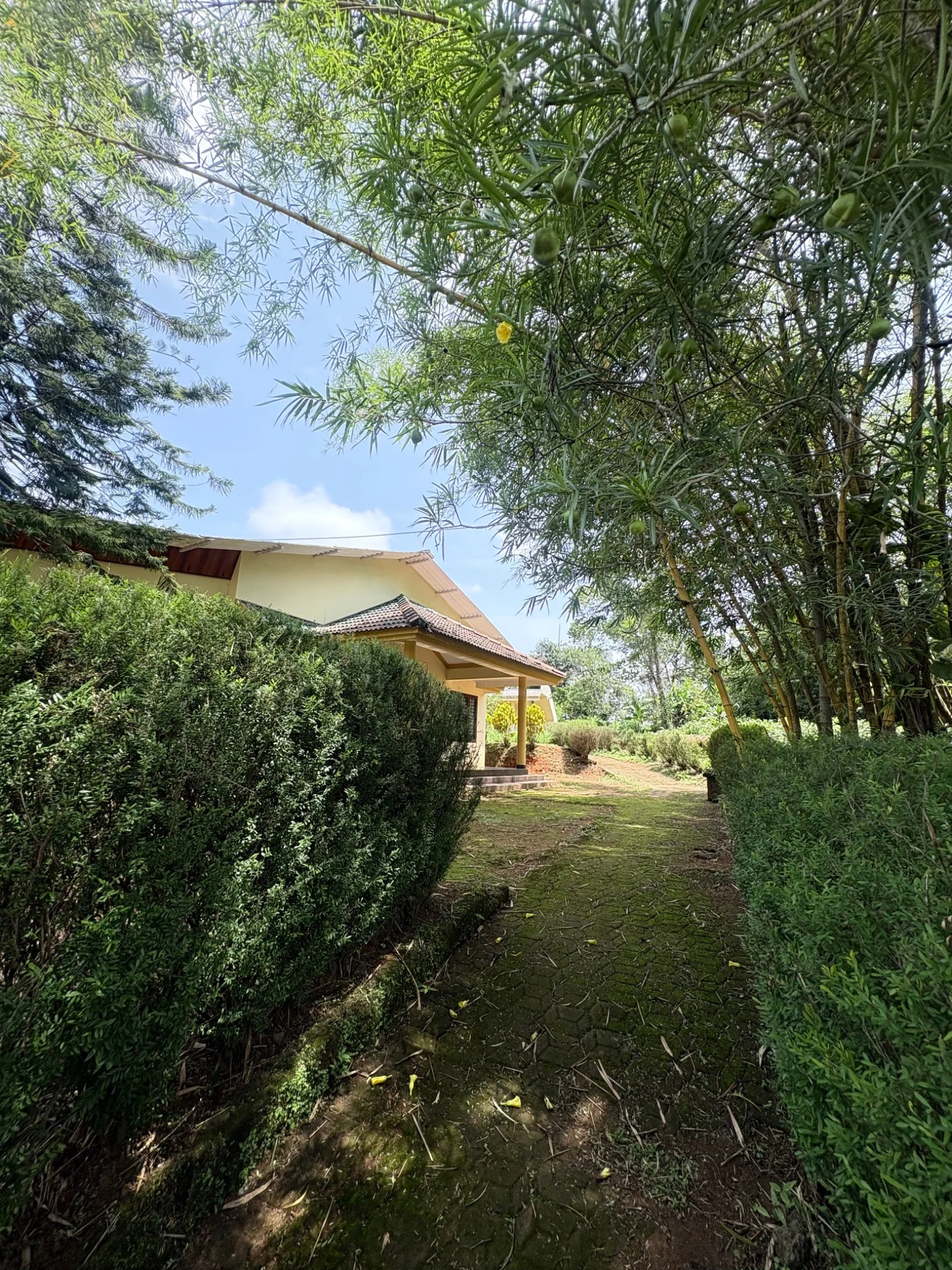 Gallery Image 20